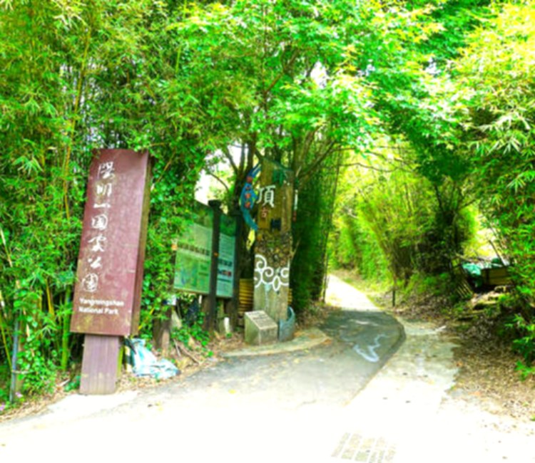 擎天崗系_坪頂古圳步道